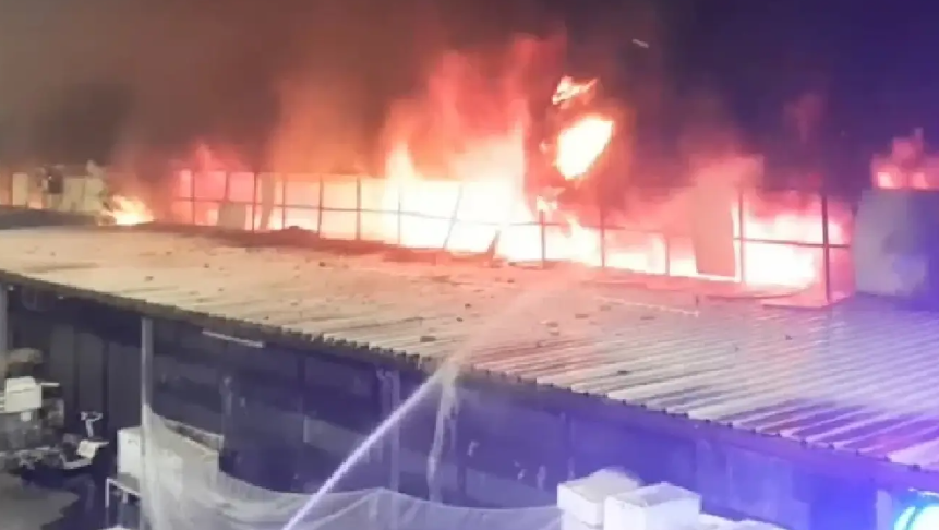 Thailand Selidiki Kebakaran Tewaskan Seribu Hewan Peliharaan