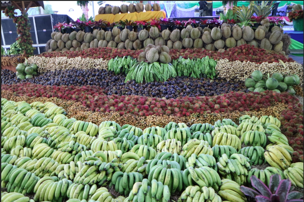 Yala Gelar Festival Buah dan Produk Terbaik 2018