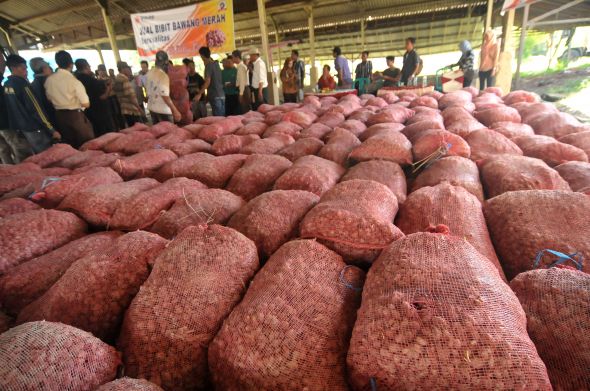 Indonesia Ekspor 5.600 Ton Bawang ke Thailand