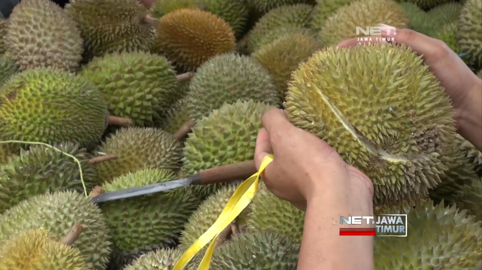 Yala Targetkan Pendapatan 2 Miliar Baht dari Durian