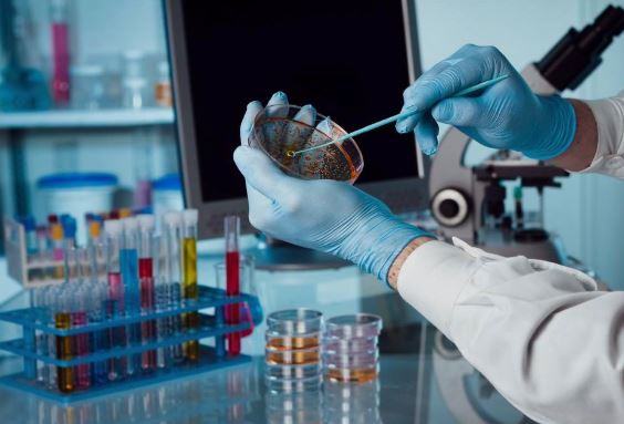 Rusia Pastikan Tak Ada Risiko Epidemi Kasus Pneumonia Mematikan di Siberia
