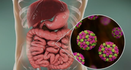 Hong Kong Peringatkan Warganya Soal Risiko Infeksi Norovirus Saat di Jepang