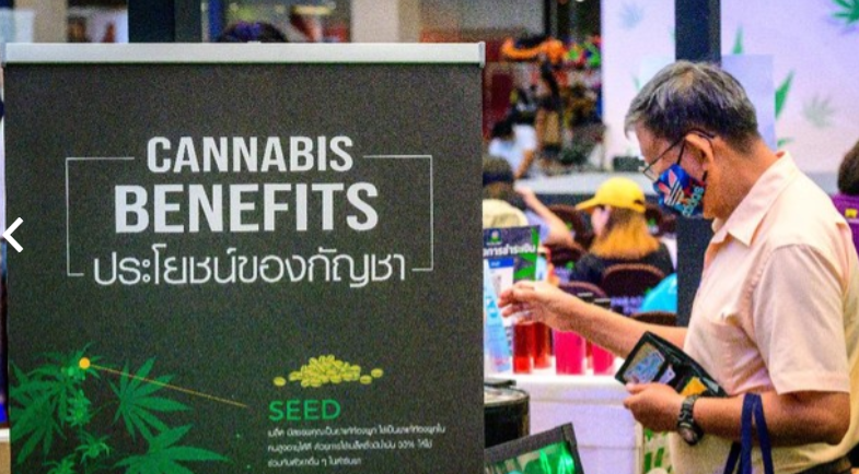 Thailand Pamerkan Manfaat Ganja
