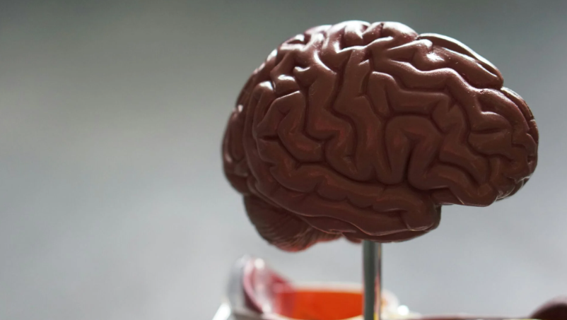 Waspada! Covid-19 Bisa Bikin Penderitanya Oon, Mengapa?